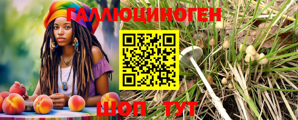 Галлюциногенные грибы Psilocybe Кувандык